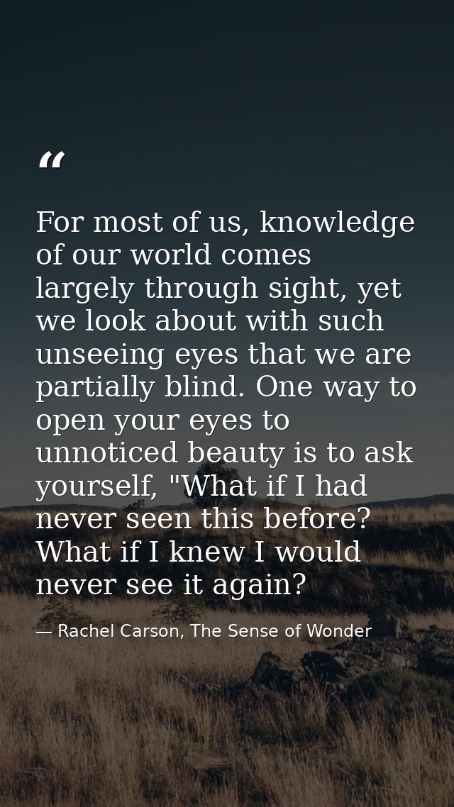 For most of us, knowledge of our world comes largely through sight, yet we look about with such unseeing eyes that we ar — Rachel Carson, The Sense of Wonder