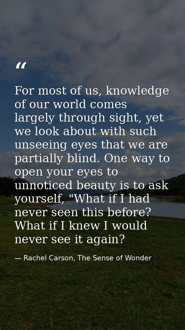 For most of us, knowledge of our world comes largely through sight, yet we look about with such unseeing eyes that we ar — Rachel Carson, The Sense of Wonder