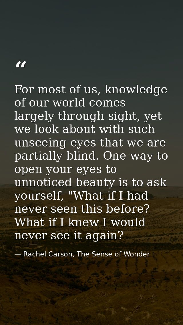 For most of us, knowledge of our world comes largely through sight, yet we look about with such unseeing eyes that we ar — Rachel Carson, The Sense of Wonder