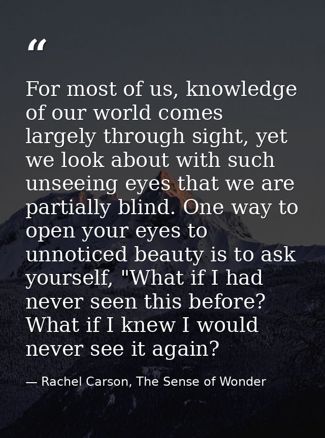 For most of us, knowledge of our world comes largely through sight, yet we look about with such unseeing eyes that we ar — Rachel Carson, The Sense of Wonder