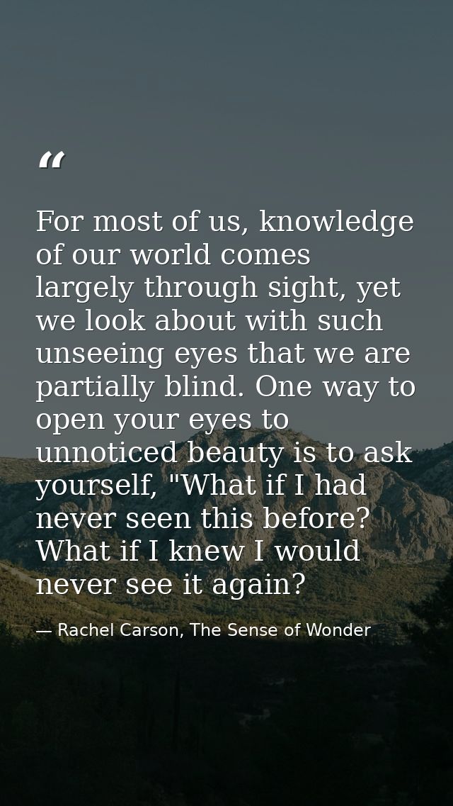 For most of us, knowledge of our world comes largely through sight, yet we look about with such unseeing eyes that we ar — Rachel Carson, The Sense of Wonder