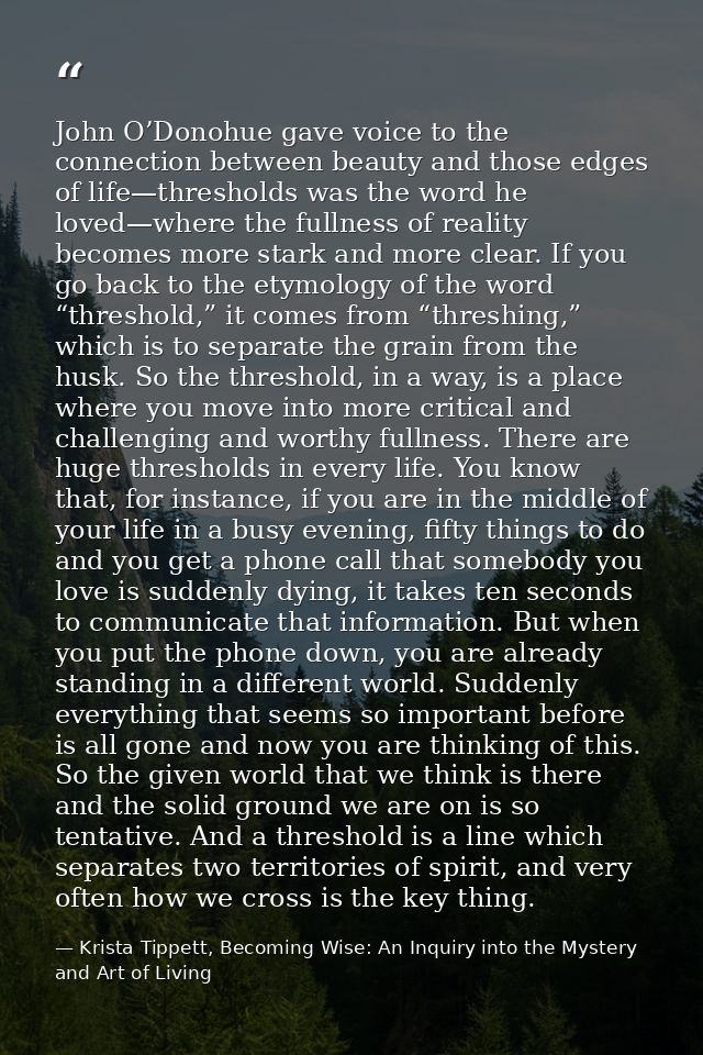 John O’Donohue gave voice to the connection between beauty and those edges of life—thresholds was the word he loved—wher — Krista Tippett, Becoming Wise: An Inquiry into the Mystery and Art of Living
