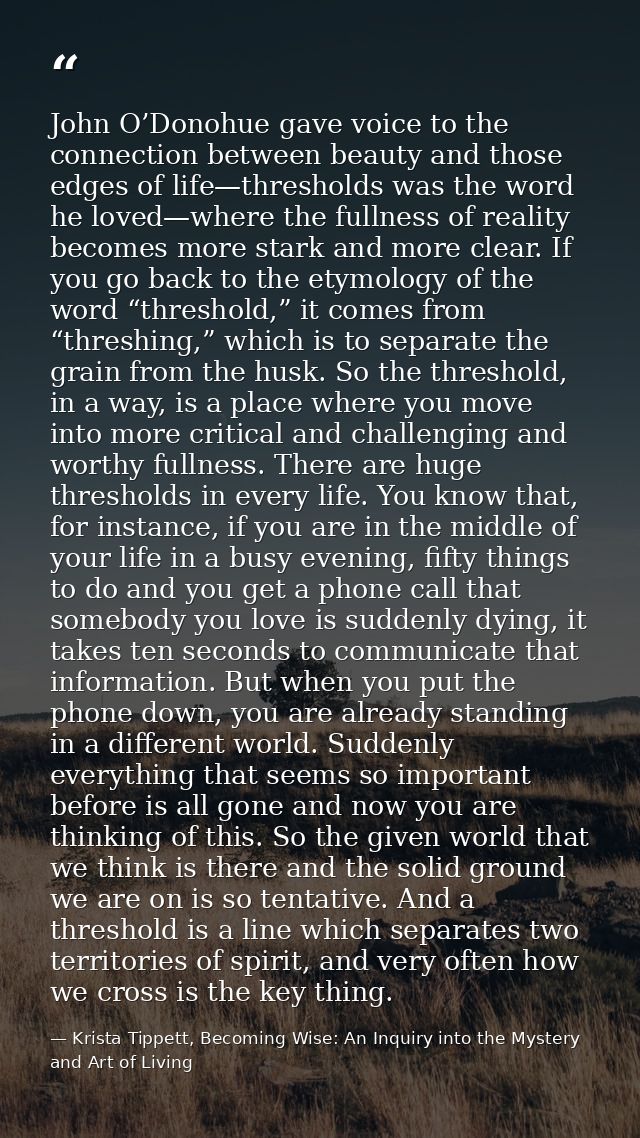 John O’Donohue gave voice to the connection between beauty and those edges of life—thresholds was the word he loved—wher — Krista Tippett, Becoming Wise: An Inquiry into the Mystery and Art of Living