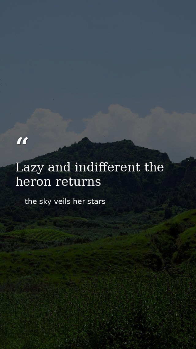 Lazy and indifferent the heron returns — the sky veils her stars