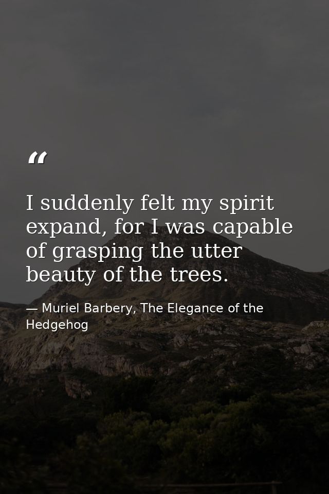 I suddenly felt my spirit expand, for I was capable of grasping the utter beauty of the trees. — Muriel Barbery, The Elegance of the Hedgehog