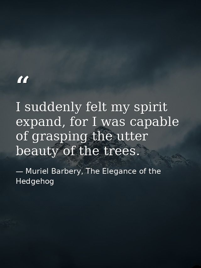 I suddenly felt my spirit expand, for I was capable of grasping the utter beauty of the trees. — Muriel Barbery, The Elegance of the Hedgehog