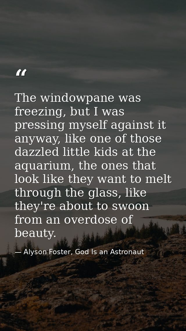 The windowpane was freezing, but I was pressing myself against it anyway, like one of those dazzled little kids at the a — Alyson Foster, God Is an Astronaut