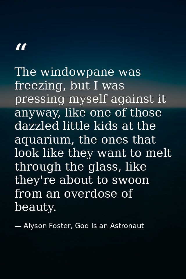 The windowpane was freezing, but I was pressing myself against it anyway, like one of those dazzled little kids at the a — Alyson Foster, God Is an Astronaut