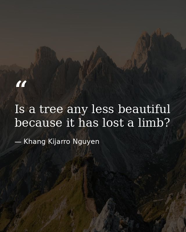 Is a tree any less beautiful because it has lost a limb? — Khang Kijarro Nguyen