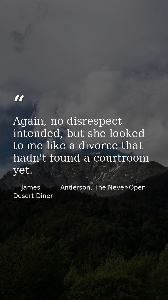 Again, no disrespect intended, but she looked to me like a divorce that hadn't found a courtroom yet. — James          Anderson, The Never-Open Desert Diner