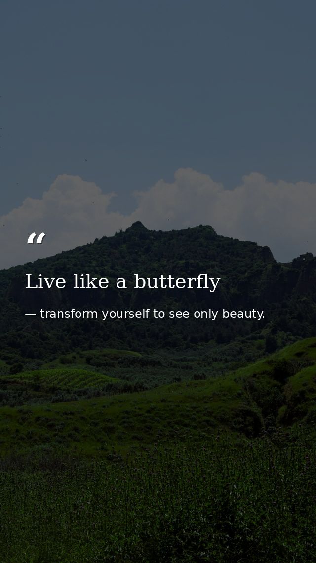 Live like a butterfly — transform yourself to see only beauty.