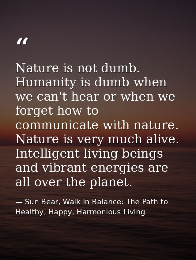 Nature is not dumb. Humanity is dumb when we can't hear or when we forget how to communicate with nature. Nature is very — Sun Bear, Walk in Balance: The Path to Healthy, Happy, Harmonious Living
