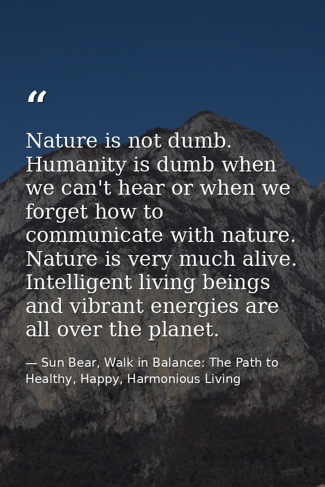 Nature is not dumb. Humanity is dumb when we can't hear or when we forget how to communicate with nature. Nature is very — Sun Bear, Walk in Balance: The Path to Healthy, Happy, Harmonious Living