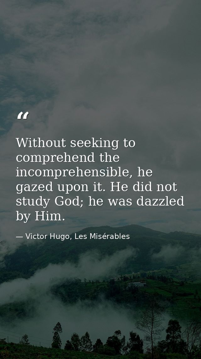Without seeking to comprehend the incomprehensible, he gazed upon it. He did not study God; he was dazzled by Him. — Victor Hugo, Les Misérables