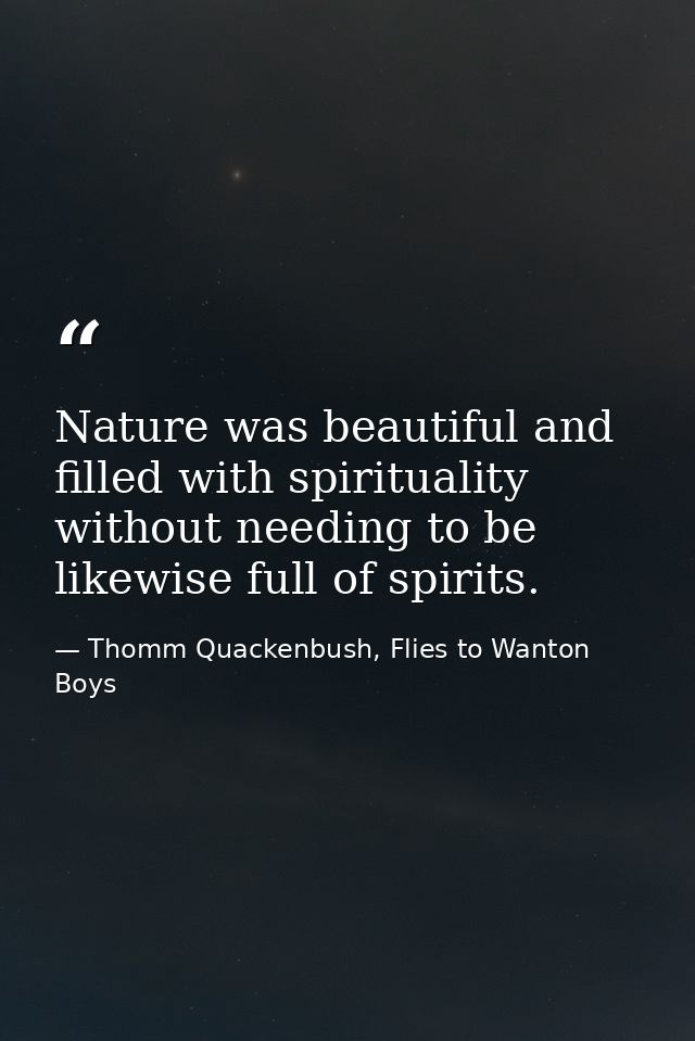 Nature was beautiful and filled with spirituality without needing to be likewise full of spirits. — Thomm Quackenbush, Flies to Wanton Boys