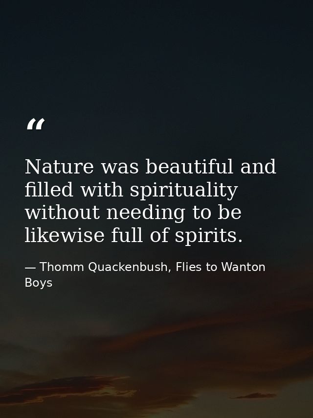 Nature was beautiful and filled with spirituality without needing to be likewise full of spirits. — Thomm Quackenbush, Flies to Wanton Boys