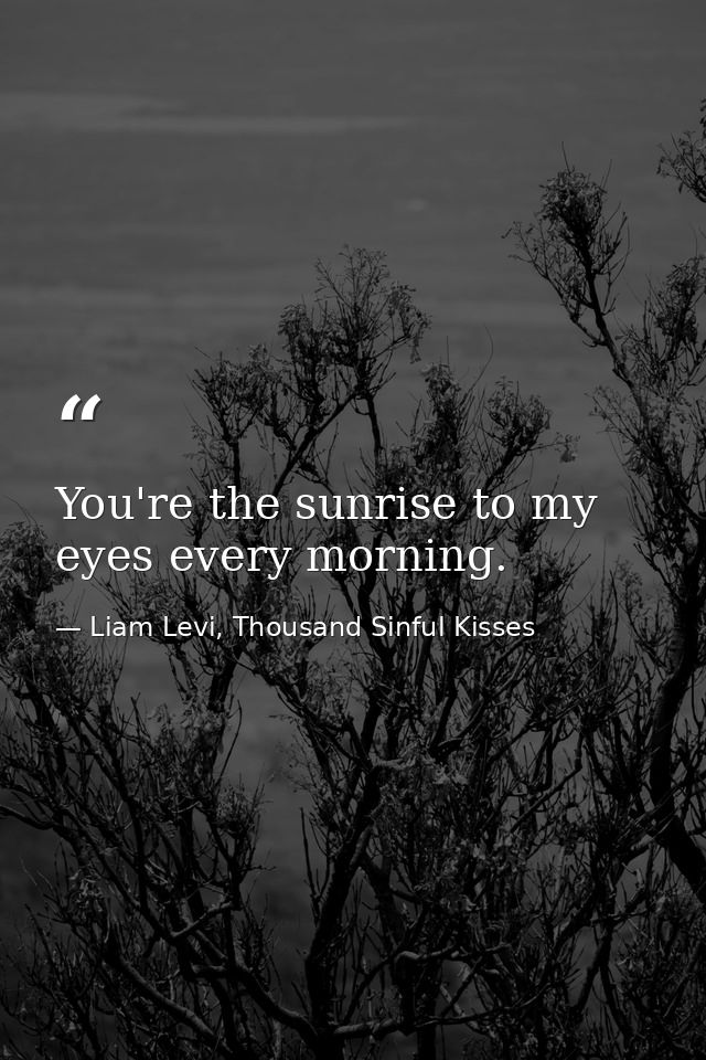 You're the sunrise to my eyes every morning. — Liam Levi, Thousand Sinful Kisses