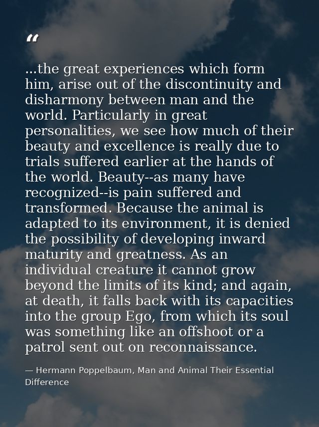 ...the great experiences which form him, arise out of the discontinuity and disharmony between man and the world. Partic — Hermann Poppelbaum, Man and Animal Their Essential Difference