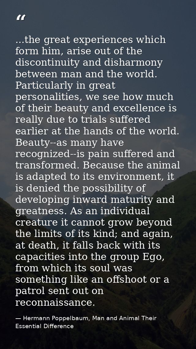 ...the great experiences which form him, arise out of the discontinuity and disharmony between man and the world. Partic — Hermann Poppelbaum, Man and Animal Their Essential Difference