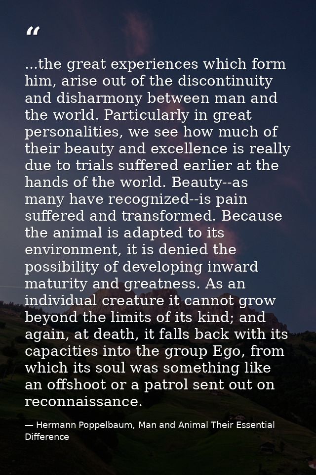 ...the great experiences which form him, arise out of the discontinuity and disharmony between man and the world. Partic — Hermann Poppelbaum, Man and Animal Their Essential Difference