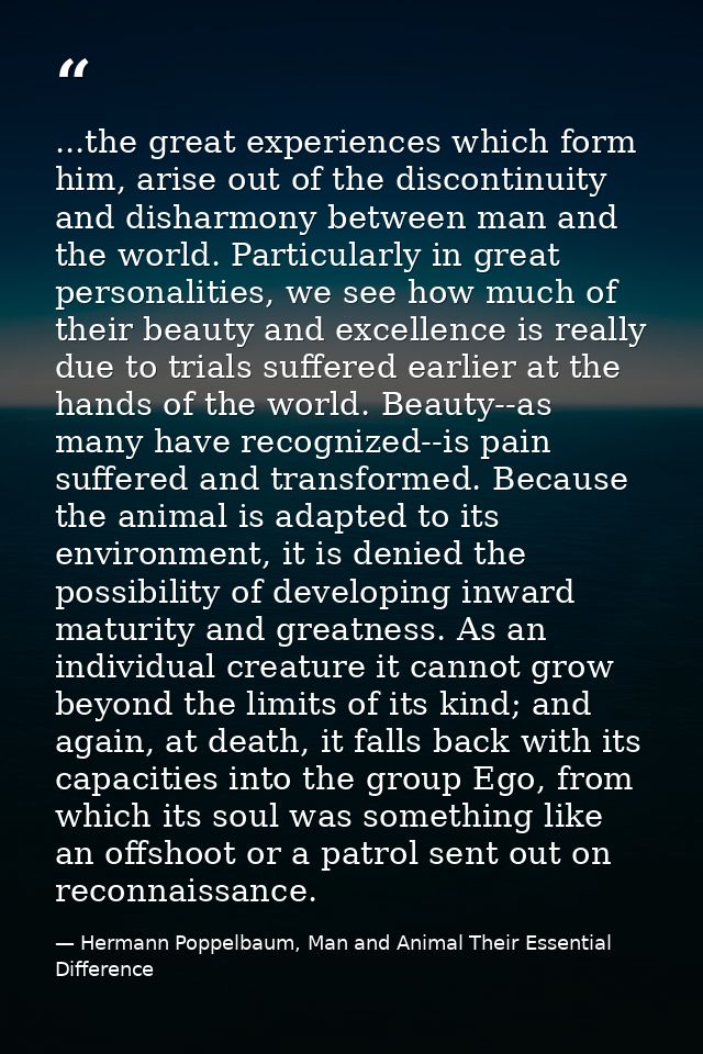 ...the great experiences which form him, arise out of the discontinuity and disharmony between man and the world. Partic — Hermann Poppelbaum, Man and Animal Their Essential Difference