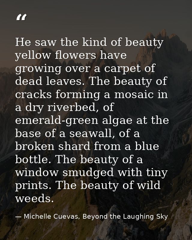 He saw the kind of beauty yellow flowers have growing over a carpet of dead leaves. The beauty of cracks forming a mosai — Michelle Cuevas, Beyond the Laughing Sky