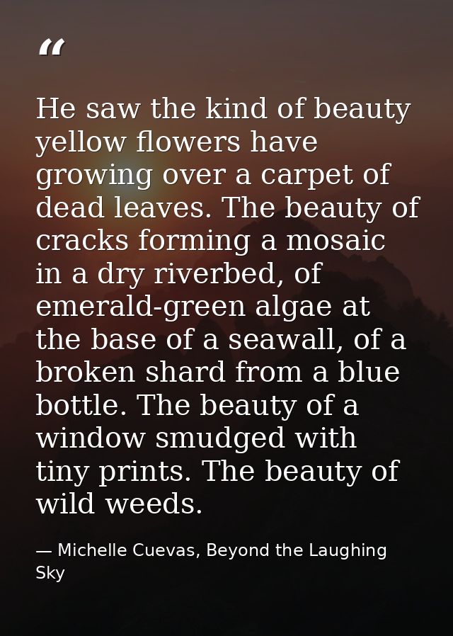 He saw the kind of beauty yellow flowers have growing over a carpet of dead leaves. The beauty of cracks forming a mosai — Michelle Cuevas, Beyond the Laughing Sky