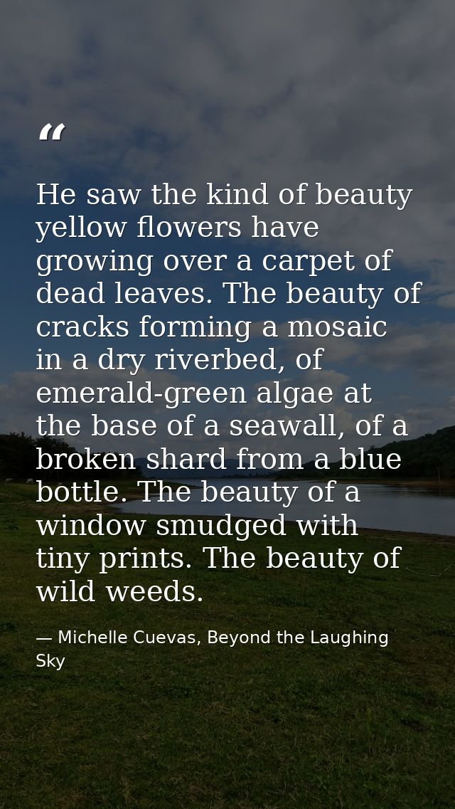 He saw the kind of beauty yellow flowers have growing over a carpet of dead leaves. The beauty of cracks forming a mosai — Michelle Cuevas, Beyond the Laughing Sky