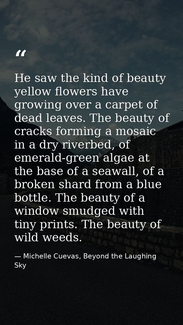 He saw the kind of beauty yellow flowers have growing over a carpet of dead leaves. The beauty of cracks forming a mosai — Michelle Cuevas, Beyond the Laughing Sky