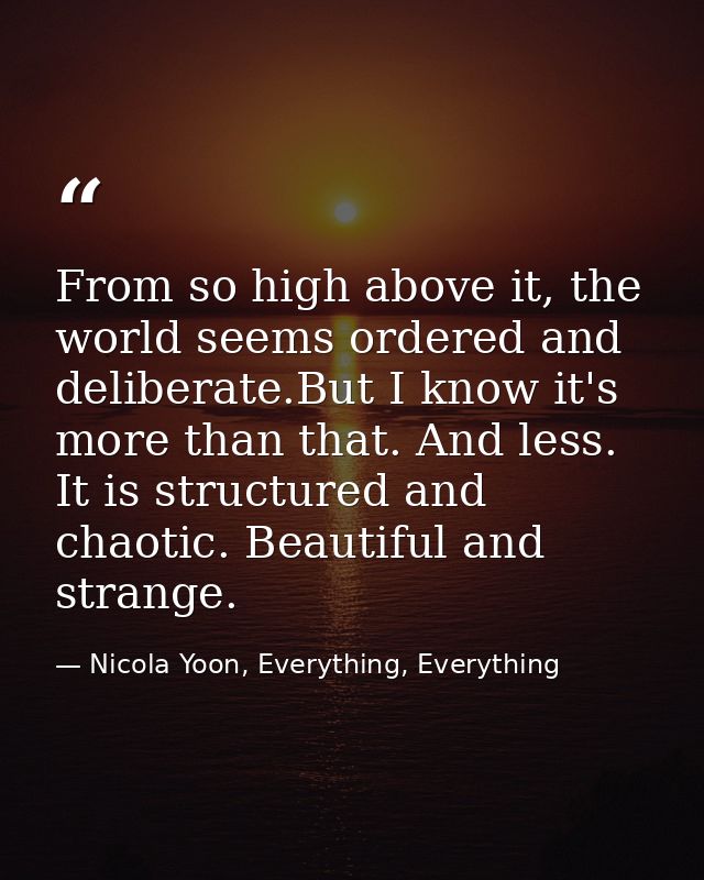 From so high above it, the world seems ordered and deliberate.But I know it's more than that. And less. It is structured — Nicola Yoon, Everything, Everything