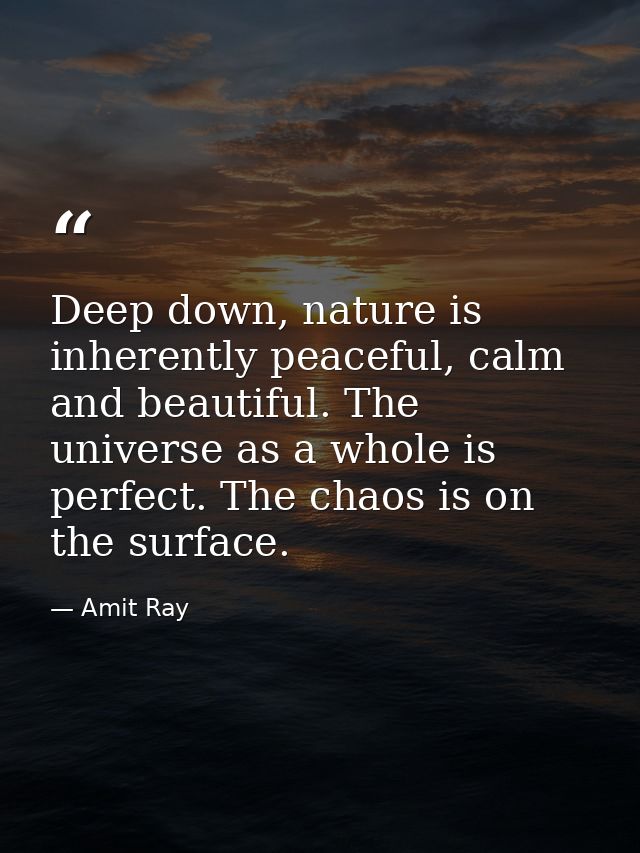 Deep down, nature is inherently peaceful, calm and beautiful. The universe as a whole is perfect. The chaos is on the su — Amit Ray