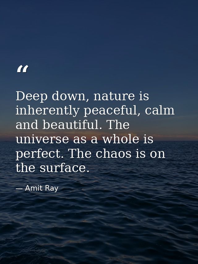 Deep down, nature is inherently peaceful, calm and beautiful. The universe as a whole is perfect. The chaos is on the su — Amit Ray
