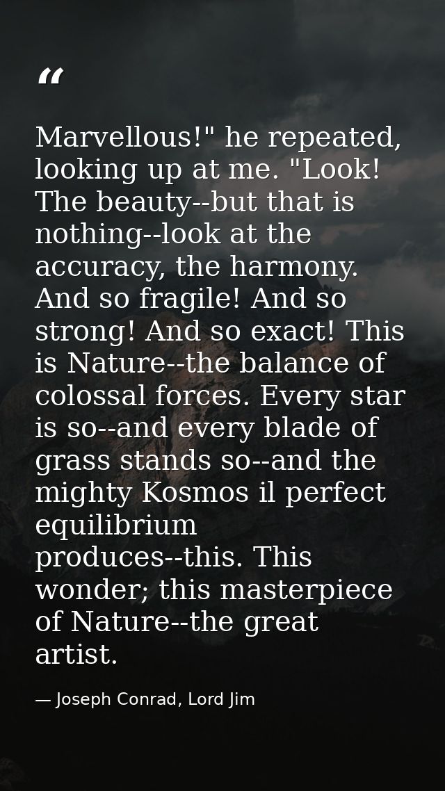 Marvellous!" he repeated, looking up at me. "Look! The beauty--but that is nothing--look at the accuracy, the harmony. A — Joseph Conrad, Lord Jim