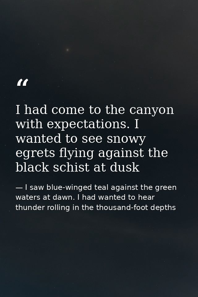 I had come to the canyon with expectations. I wanted to see snowy egrets flying against the black schist at dusk — I saw blue-winged teal against the green waters at dawn. I had wanted to hear thunder rolling in the thousand-foot depths