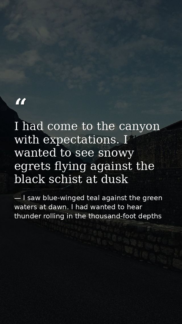 I had come to the canyon with expectations. I wanted to see snowy egrets flying against the black schist at dusk — I saw blue-winged teal against the green waters at dawn. I had wanted to hear thunder rolling in the thousand-foot depths