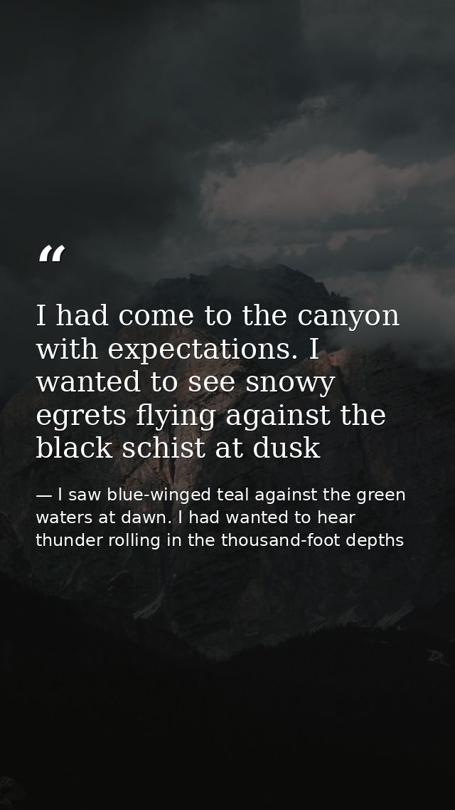I had come to the canyon with expectations. I wanted to see snowy egrets flying against the black schist at dusk — I saw blue-winged teal against the green waters at dawn. I had wanted to hear thunder rolling in the thousand-foot depths