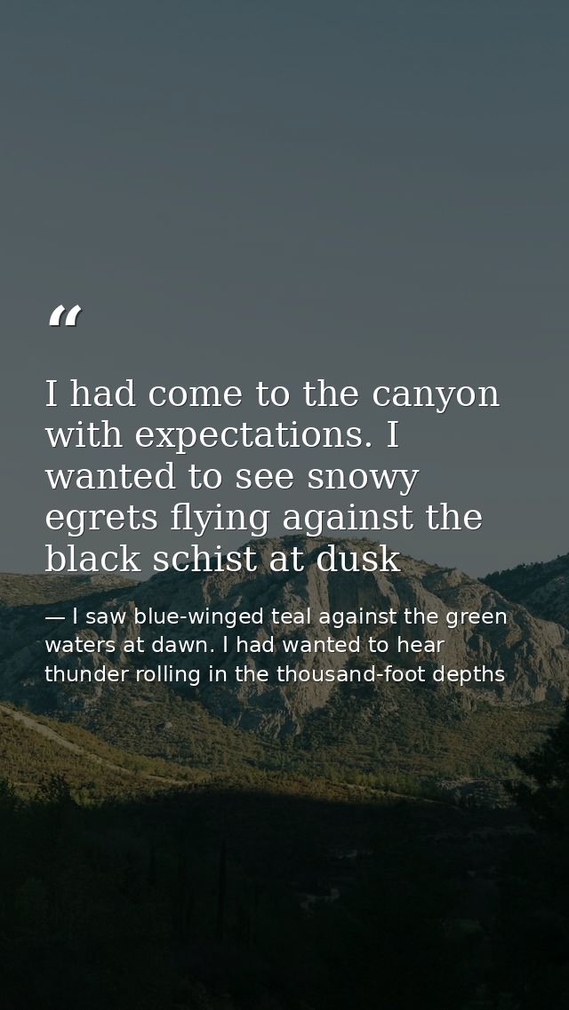 I had come to the canyon with expectations. I wanted to see snowy egrets flying against the black schist at dusk — I saw blue-winged teal against the green waters at dawn. I had wanted to hear thunder rolling in the thousand-foot depths
