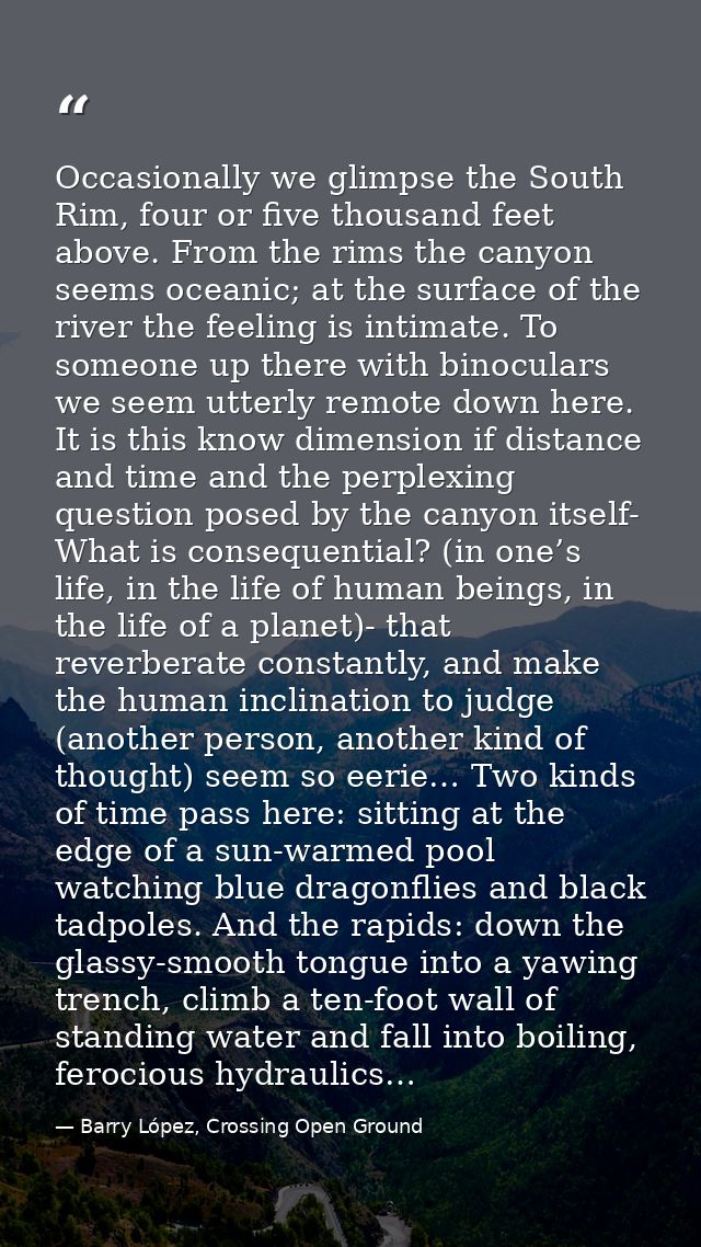 Occasionally we glimpse the South Rim, four or five thousand feet above. From the rims the canyon seems oceanic; at the  — Barry López, Crossing Open Ground