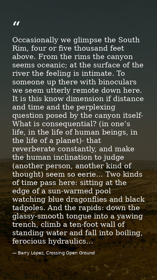 Occasionally we glimpse the South Rim, four or five thousand feet above. From the rims the canyon seems oceanic; at the  — Barry López, Crossing Open Ground