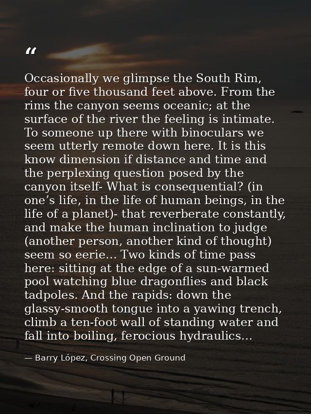 Occasionally we glimpse the South Rim, four or five thousand feet above. From the rims the canyon seems oceanic; at the  — Barry López, Crossing Open Ground