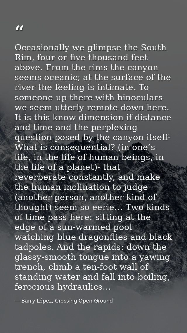 Occasionally we glimpse the South Rim, four or five thousand feet above. From the rims the canyon seems oceanic; at the  — Barry López, Crossing Open Ground