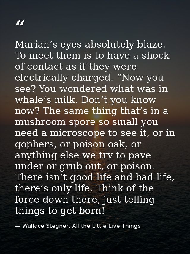 Marian’s eyes absolutely blaze. To meet them is to have a shock of contact as if they were electrically charged. “Now yo — Wallace Stegner, All the Little Live Things
