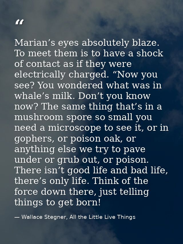 Marian’s eyes absolutely blaze. To meet them is to have a shock of contact as if they were electrically charged. “Now yo — Wallace Stegner, All the Little Live Things