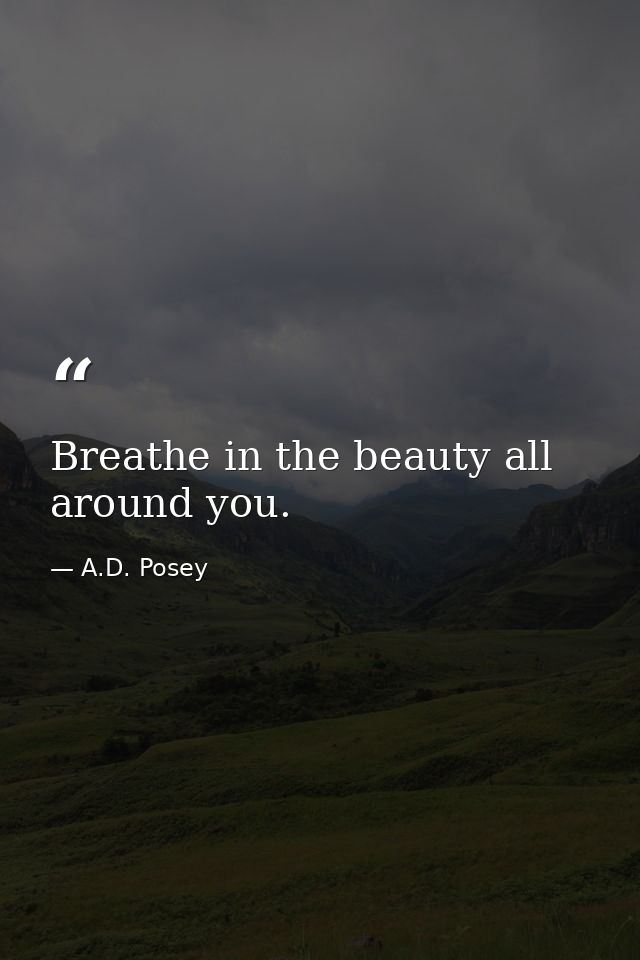Breathe in the beauty all around you. — A.D. Posey