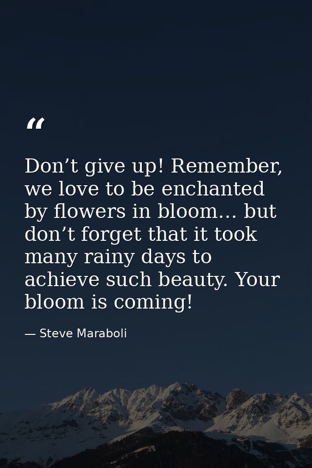 Don’t give up! Remember, we love to be enchanted by flowers in bloom… but don’t forget that it took many rainy days to a — Steve Maraboli