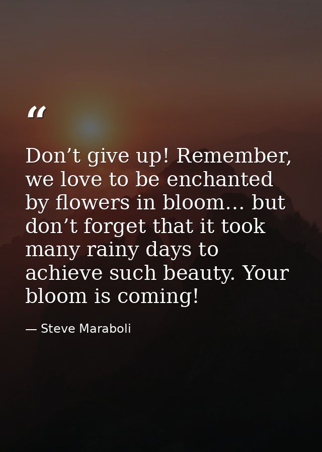 Don’t give up! Remember, we love to be enchanted by flowers in bloom… but don’t forget that it took many rainy days to a — Steve Maraboli
