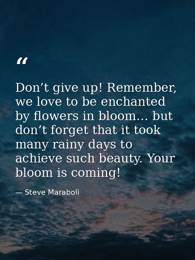 Don’t give up! Remember, we love to be enchanted by flowers in bloom… but don’t forget that it took many rainy days to a — Steve Maraboli