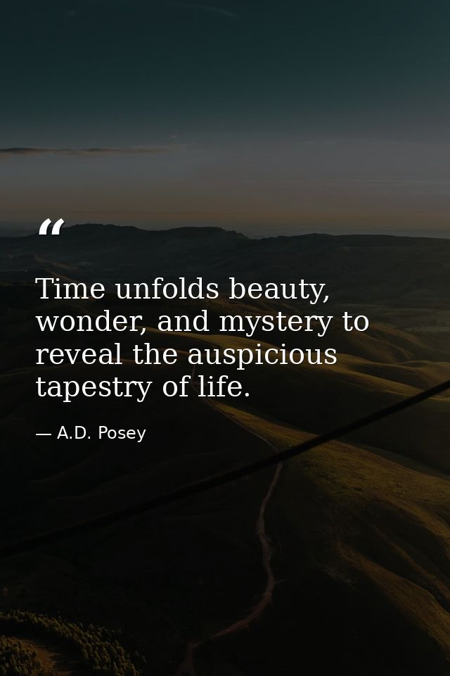 Time unfolds beauty, wonder, and mystery to reveal the auspicious tapestry of life. — A.D. Posey