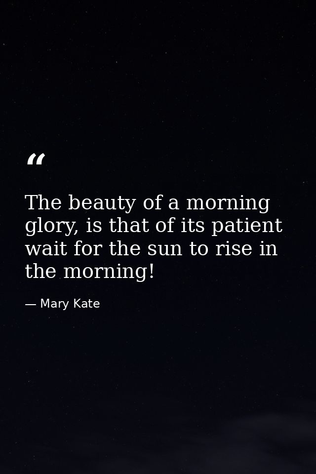 The beauty of a morning glory, is that of its patient wait for the sun to rise in the morning! — Mary Kate