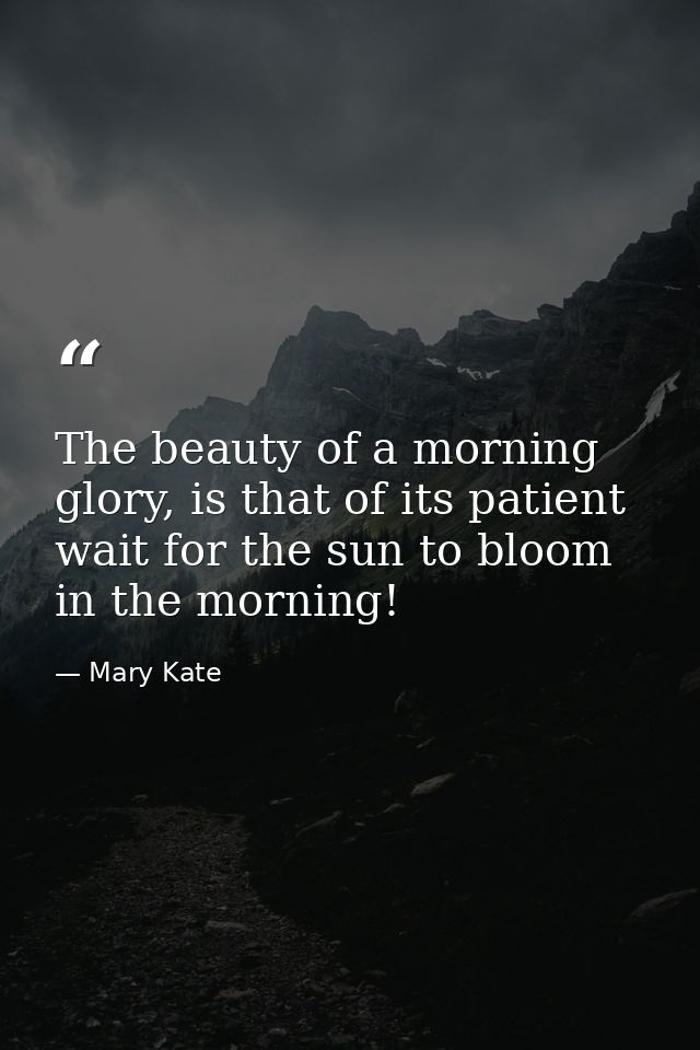The beauty of a morning glory, is that of its patient wait for the sun to bloom in the morning! — Mary Kate